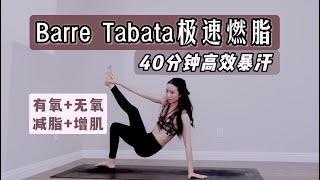 减脂满分高效有氧！极速暴汗Barre Tabata｜40分钟无器械全身燃脂塑形运动｜有氧无氧结合健身教程｜和Audrey一起运动