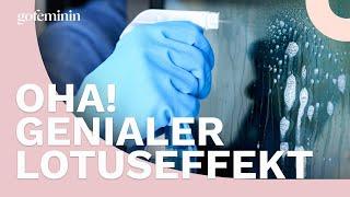 Genialer Lotuseffekt: Deshalb solltest du deine Dusche mit Klarspüler reinigen