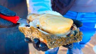 Ostiones Gigantes, pescado Sarandeado y bonitas playas