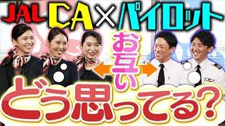 【座談会】CAとパイロットの本音！JALの社内事情ぶっちゃけます