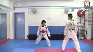 Taekwondo Kick # 25