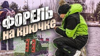 ЛОВЛЯ ФОРЕЛИ на спиннинг 2020. Рыбалка на платниках. Новый сезон. #155