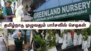 தமிழ்நாடு முழுவதும் நல்ல முறையில் டெலிவரி |  All Over Tamil Nadu Delivery: Healthy Garden Plants! 