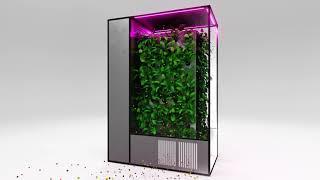 This Machine Kills Airborne Junk: Plant Air Purifier