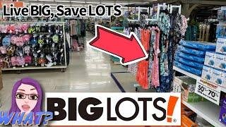 BIG LOTS️  EXCITING NEW ARRIVALS WITH BLOW OUT PRICES #shopping #new #biglots