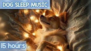 SUPER-RELAXING Cozy Anxiety Relief Music for Dogs! NEW 2024