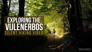 Exploring the Vijlenerbos - Silent Hiking & Photography (4K)