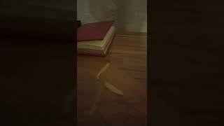 Заговор на добрый путь
