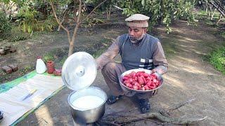 Gajrela Recipe / Gajar Dhood Wali Kheer / Tour And Taste By Mubarik Ali