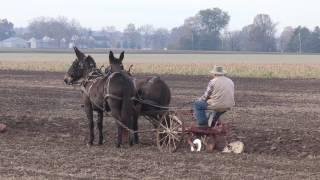 2016 Plow Day at Tom Renner's Farm