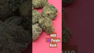 HH8 Purple Kush from HempCartels