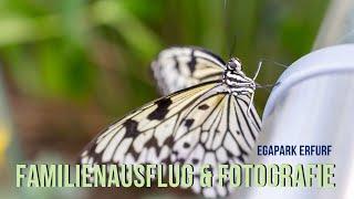 Familienausflug & Fotografie im @egaparklive  Erfurt mit Sony E10 & Sony A7IV