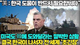 [해외반응] "美 : 한국 도움이 반드시 필요합니다" 미국도 韓에 도와달라는 절박한 상황 결국 한국이 나서자 전 세계 '초긴장'