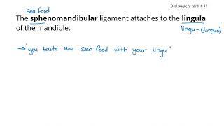  Memory Trick: Sphenomandibular Ligament Attaches to the Lingula | NBDE Dental Decks Mnemonics