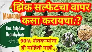 झिंक सल्फेटचा वापर कसा करावा | zinc sulphate use in crops