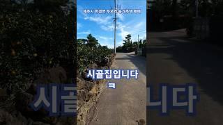 제주도 귤밭딸린 농가주택 매매