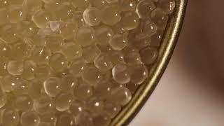 Aquna Gold Murray Cod Caviar_Reflections
