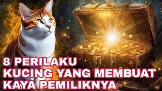 SUKA TIDUR DI SAJADAH!!!_INILAH 8 CIRI KUCING PEMBAWA HOKI DAN REZEKI JIKA DIPELIHARA DI RUMAH