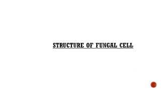 Structure of Fungal cell.