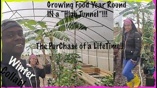 Growing Food Year Round With A HighTunnel{Collaboration Video}