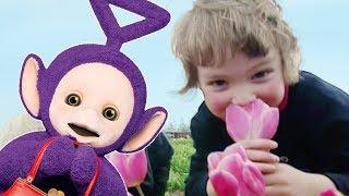 Teletubbies: Flowers Pack - Full Episode Compilation