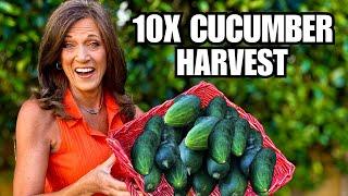 Cucumbers: How to 10x Your Harvest