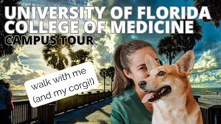 University of Florida College of Medicine Campus Tour | Walk with Me & My Corgi in 4K