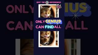 FIND THE 3 DIFFERENCES﻿ #2 | Only geniuses can find it !  #catquiz, #braingames, #braintest