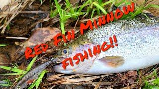 Small Stream Fishing With A Red Fin Minnow!!