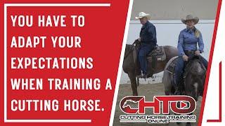 You Have To Adapt Your Expectations When Training A Cutting Horse.