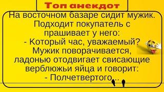 Восточный базар, мужики и верблюд... Лучшие длинные анекдоты и жизненные истории 2021