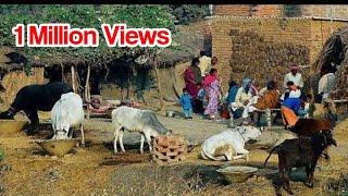 unforgettable village life video | Amazing village life memories and views | karamat ali