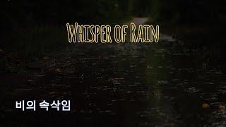 잠들기 편안한 .치유하는 빗소리 . 깊은수면..Deep sleep to the sound of rain #asmr #빗소리 #rain #숙면