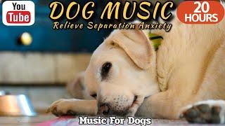 20 HOURS of Calming Music For DogsRelaxing Sounds For DogsSeparation Anxiety Relief⭐Healingmate