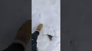 First snow experience. ️ #snow
