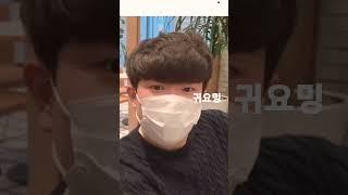 #군산#귀요미#무웅요미#내가제일귀여워#에볼문의#환영#대출#환영#구독#좋아요