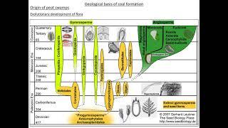 Geological Basis of Formation of Coal- Evolution of Flora