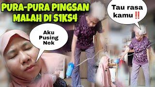 PRANK MAJIKAN‼️PURA-PURA PINGSAN DEPAN MAJIKAN, MALAH BERAKHIR BEGINI . . .