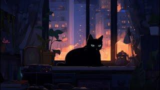 Relax with my cat  Listen to it to escape from a hard day with my cat  Chillhop Radio Beat