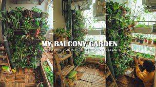 Growing Houseplants in the Vertical Wall Garden on the 4m2 Balcony | Balcony Garden Decoration Ideas