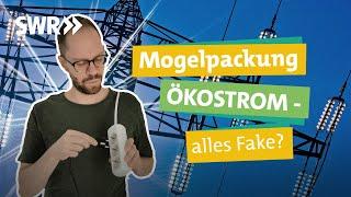 Energie aus Wind und Sonne – Was bringt Ökostrom für Klima und Umwelt? I Ökochecker SWR