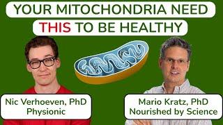 Your Mitochondria Need THIS to Be Healthy. A Conversation with Nicolas Verhoeven, PhD (Physionic).