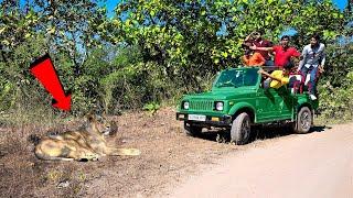 Meeting Real King of Jungle | आज तो असली शेर से सामना हो गया | Crazy Trip