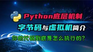 【python】字节码和虚拟机？python代码竟然是这么执行的！