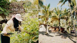 Slow life in the Philippine countryside | Countryside garden | Making suman | Countryside beach