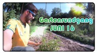 GARTENRUNDGANG Juni 16 | Etwas hinterher, aber endlich Sonne! | dergartenkanal