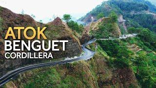 Atok, Benguet | Halsema Highway | Northern Blossom