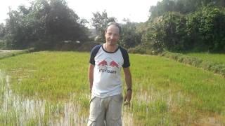 Me in the middle of the Hue ricefields (Vietnam)