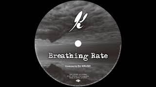 DJ Krush - Breathing Rate