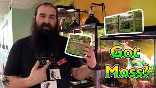 The BEST Types of Moss to Add to Your Pet Reptile or Amphibian's Tank! 